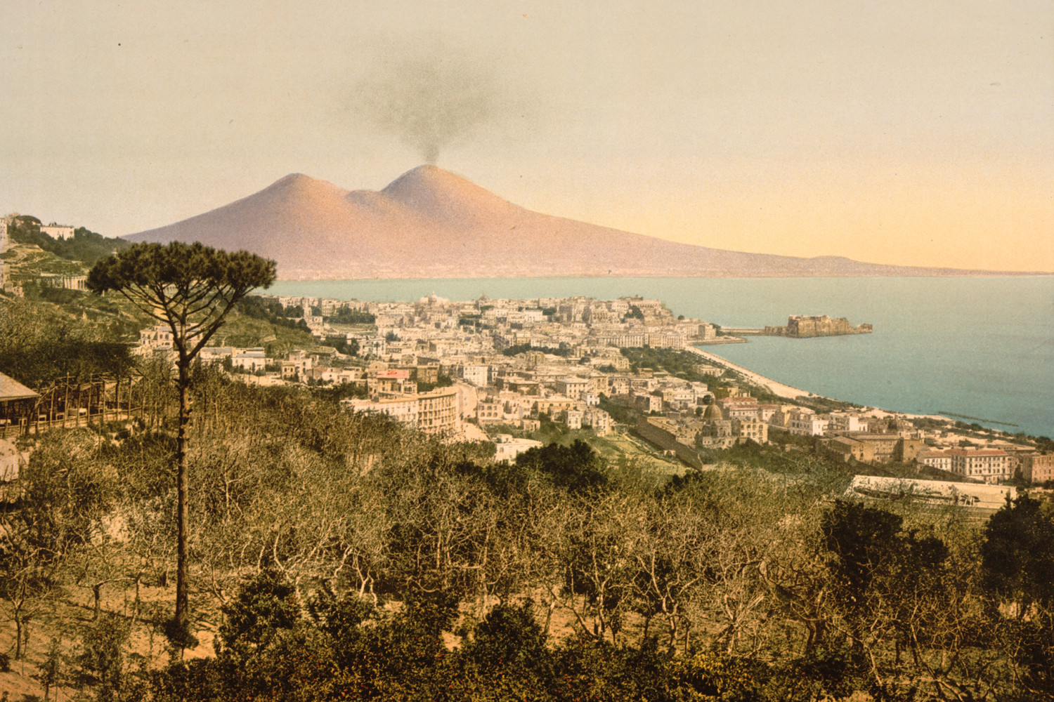 Parker’s History Parker’s History